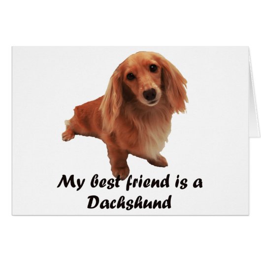 "Dackel" Cards (Front Horizontal)