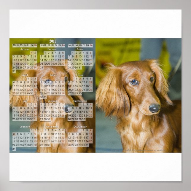 Dackel Kalender 2011 Poster (Front)