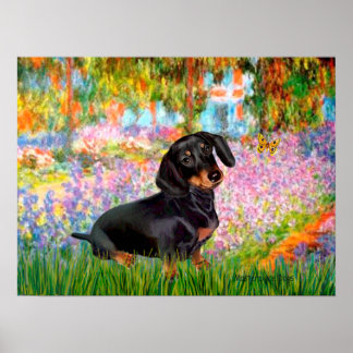 Dacshund (black and tan 16) - Garden Poster