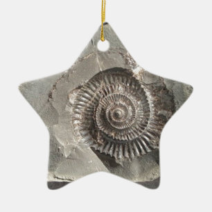 Dactylioceras ammonite in rock ceramic ornament