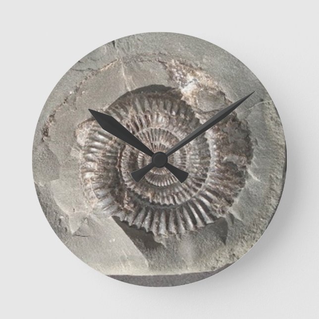 Dactylioceras ammonite in rock round clock (Front)