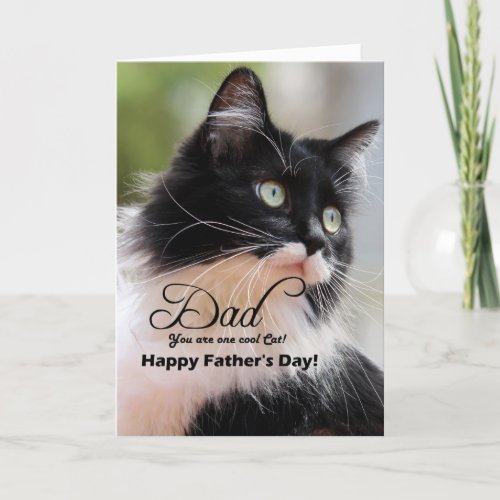 Dad  Happy Fathers Day _ Tuxedo Cat Card