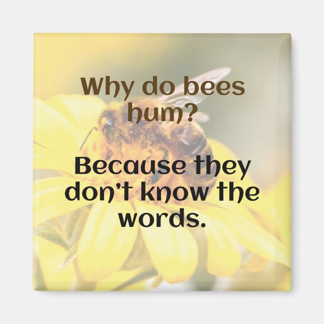 DAD JOKE: Why do bees hum? Magnet (Front)