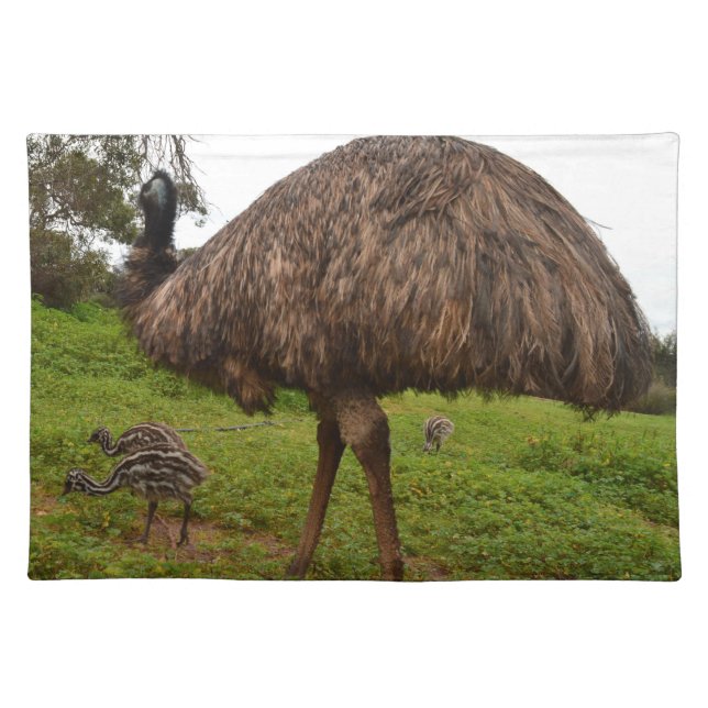 Daddy And Baby Emus, Cloth Placemat (Front)