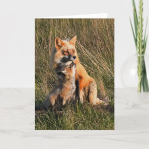 Daddy and Baby Fox Frameable Art Card