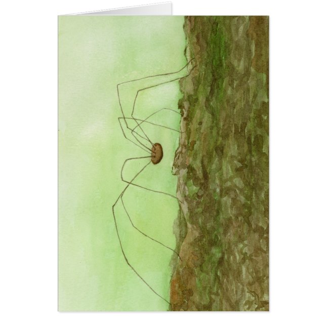 Daddy Long Legs Card (Front)
