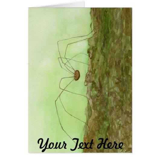 Daddy Long Legs Cards (Front)