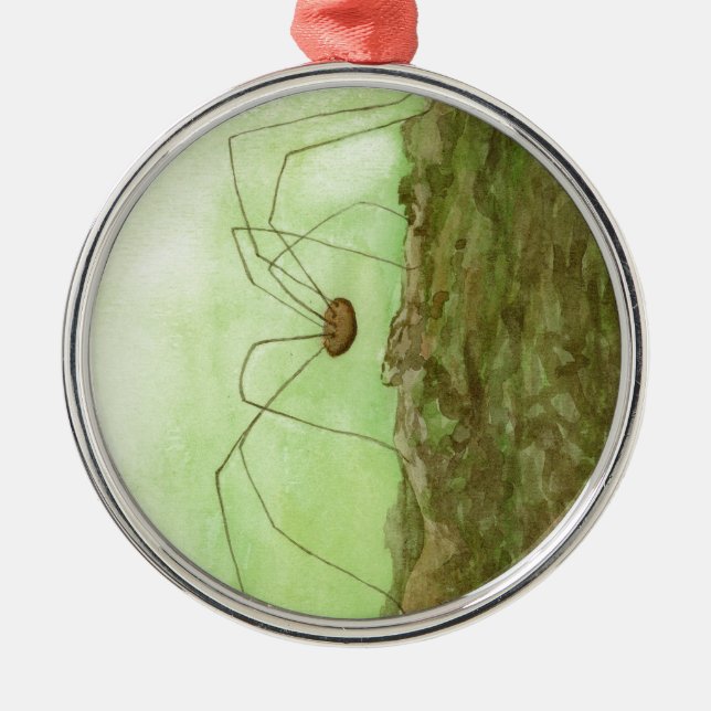 Daddy Long Legs Metal Ornament (Front)