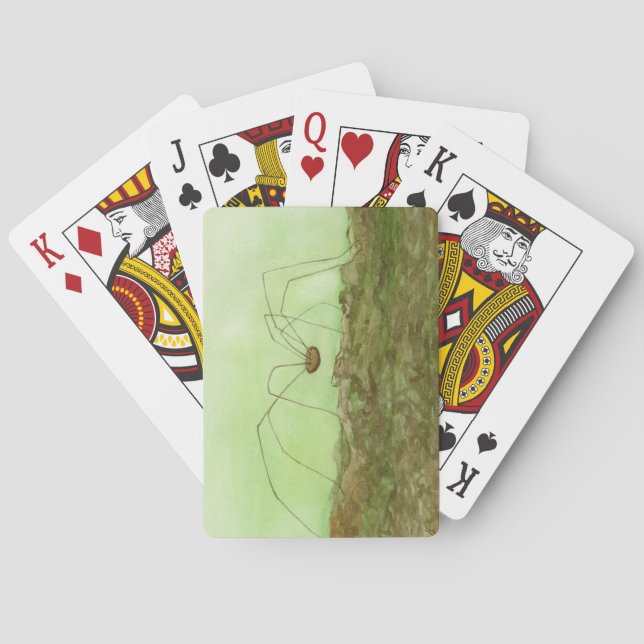 Daddy Long Legs Poker Cards (Back)