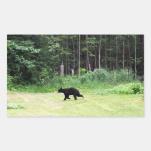 Dads Black Bear Rectangular Sticker