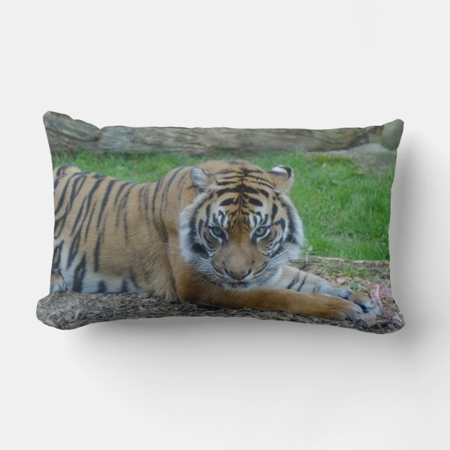 Dad's Tiger Lumbar Pillow (Front)