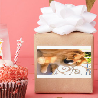 DAEJA AT THE BEACHHOUSE Rectangle Stickers