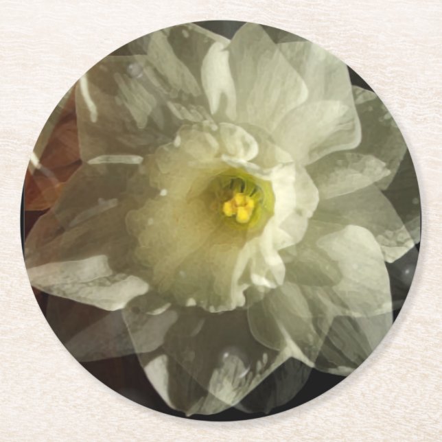 Daffidol Dreams Round Paper Coaster (Front)