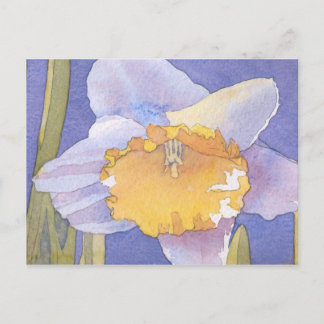Daffodil 2003 postcard