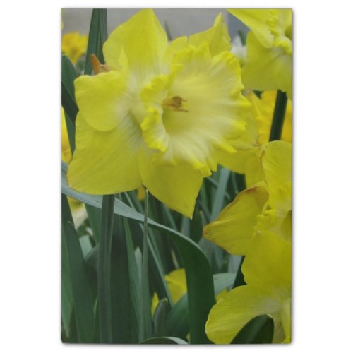 daffodil-22.JPG Post-it Notes
