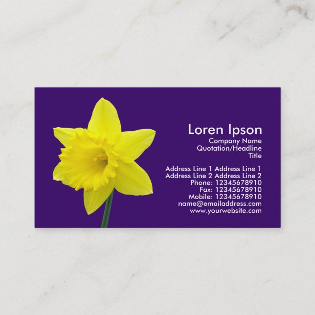 Daffodil - (330066) business card (Front)