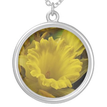 Daffodil And Forsythia Silver Plated Necklace by Bebops at Zazzle