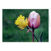 Daffodil and Tulip (Front Horizontal)