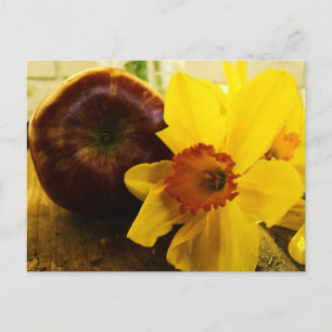 Daffodil & Apple Postcard