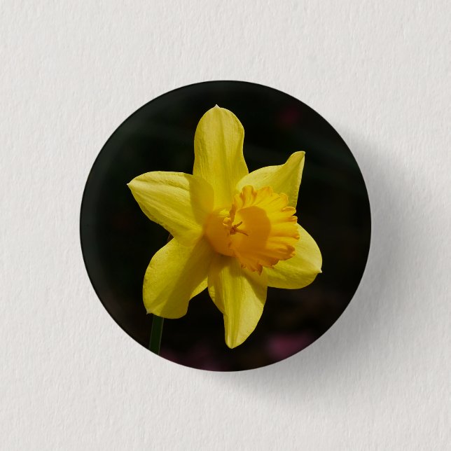Daffodil Badge  Button (Front)
