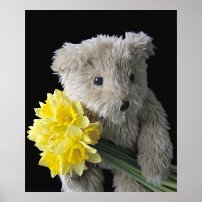 daffodil bear poster