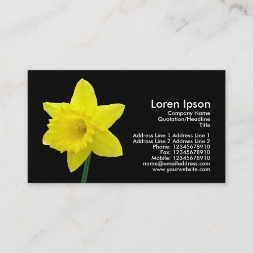 Daffodil - Black Business Cards