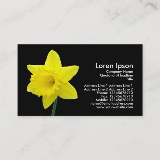 Customizable Daffodil - Black Business Cards