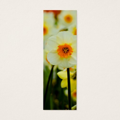 Daffodil Bookmark Business Card Templates