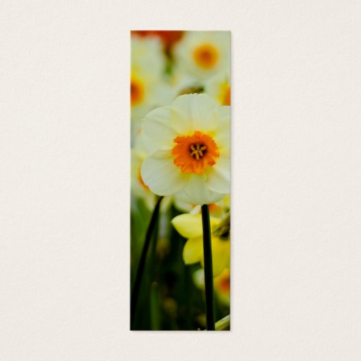 Customizable Daffodil Bookmark Business Card Templates