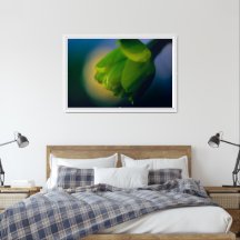 Daffodil Bud in Spring Framed Poster