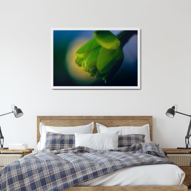 Daffodil Bud in Spring Framed Poster (Bedroom)