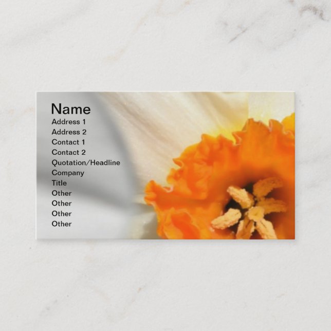 Daffodil Business Card (Front)