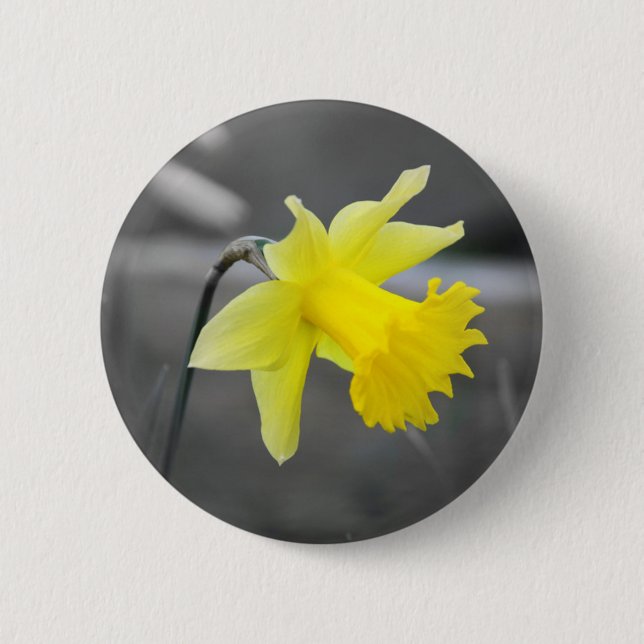 Daffodil Button (Front)