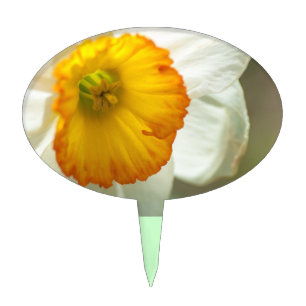 Daffodil Cake Topper