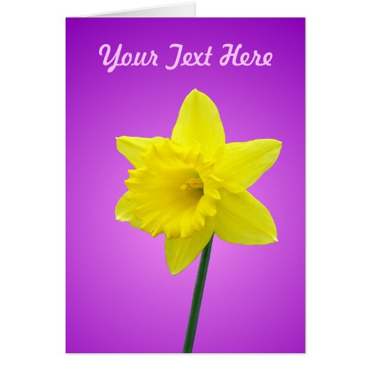 Daffodil Card - Template (Front)