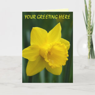 Daffodil Cards Personalized Daffodil Flower Cards