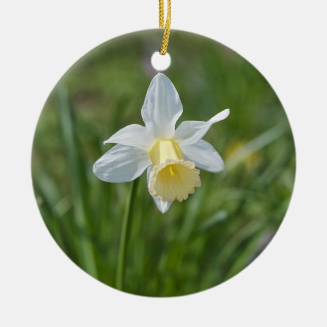 Daffodil Ceramic Ornament (Front)