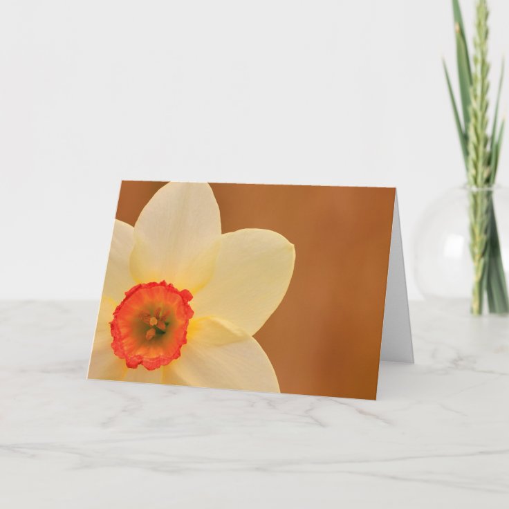 Daffodil Chemo Cancer Support Card Zazzle