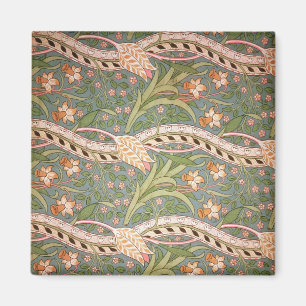 Daffodil Chintz', 1875 Magnet