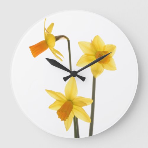 Daffodil Clock