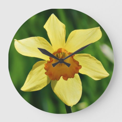 Daffodil Clock