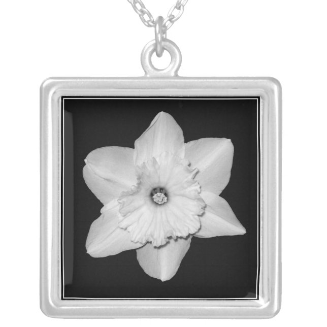 Daffodil Close-up (B&W) Necklace (Front)