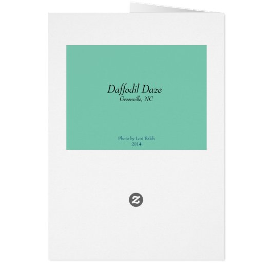 Daffodil Daze (Back)