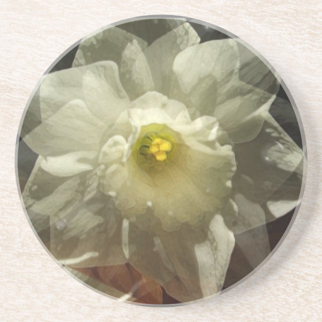 Daffodil Dreams Coaster (Front)