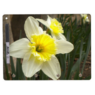 Daffodil Dry Erase Board