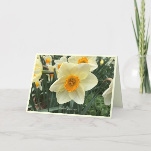 Daffodil Easter spring greeting card