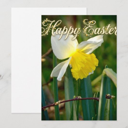 Daffodil & Easter wishes (Front/Back)