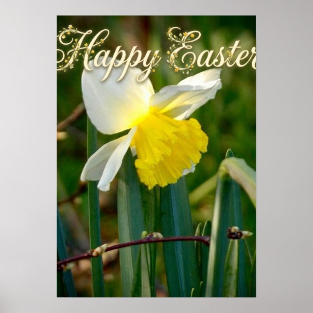 Daffodil & Easter wishes Poster (Front)