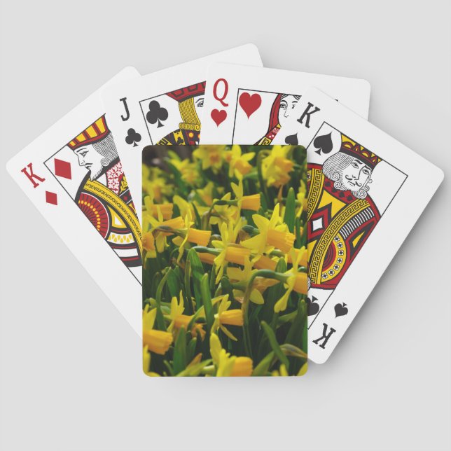 Daffodil Family Poker Cards (Back)