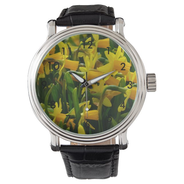 Daffodil Family Watch (Front)